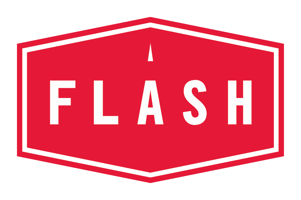 Flash Logo